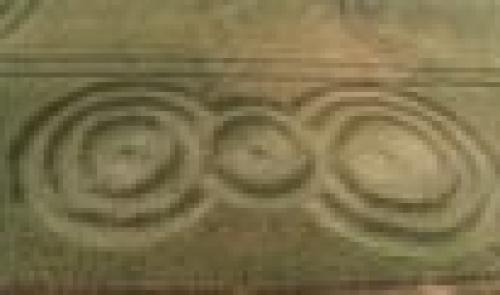 Crop circles à Momalle